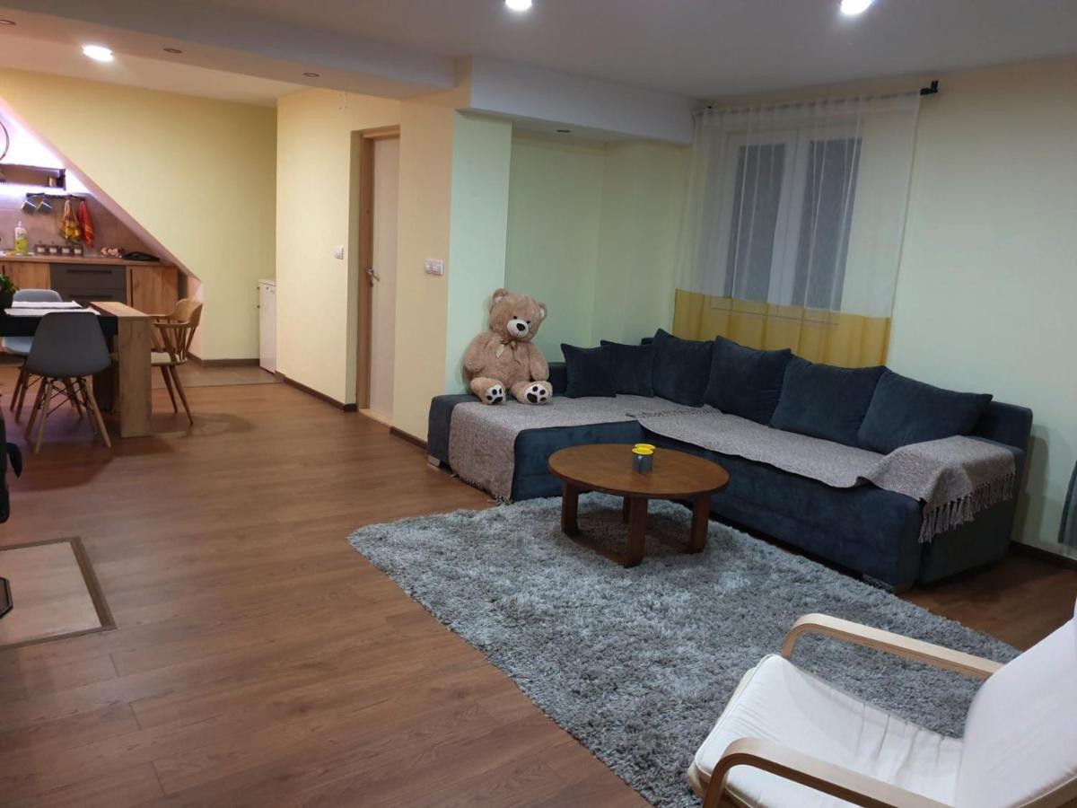 Nikas Apartman Donji Milanovac Zewnętrze zdjęcie