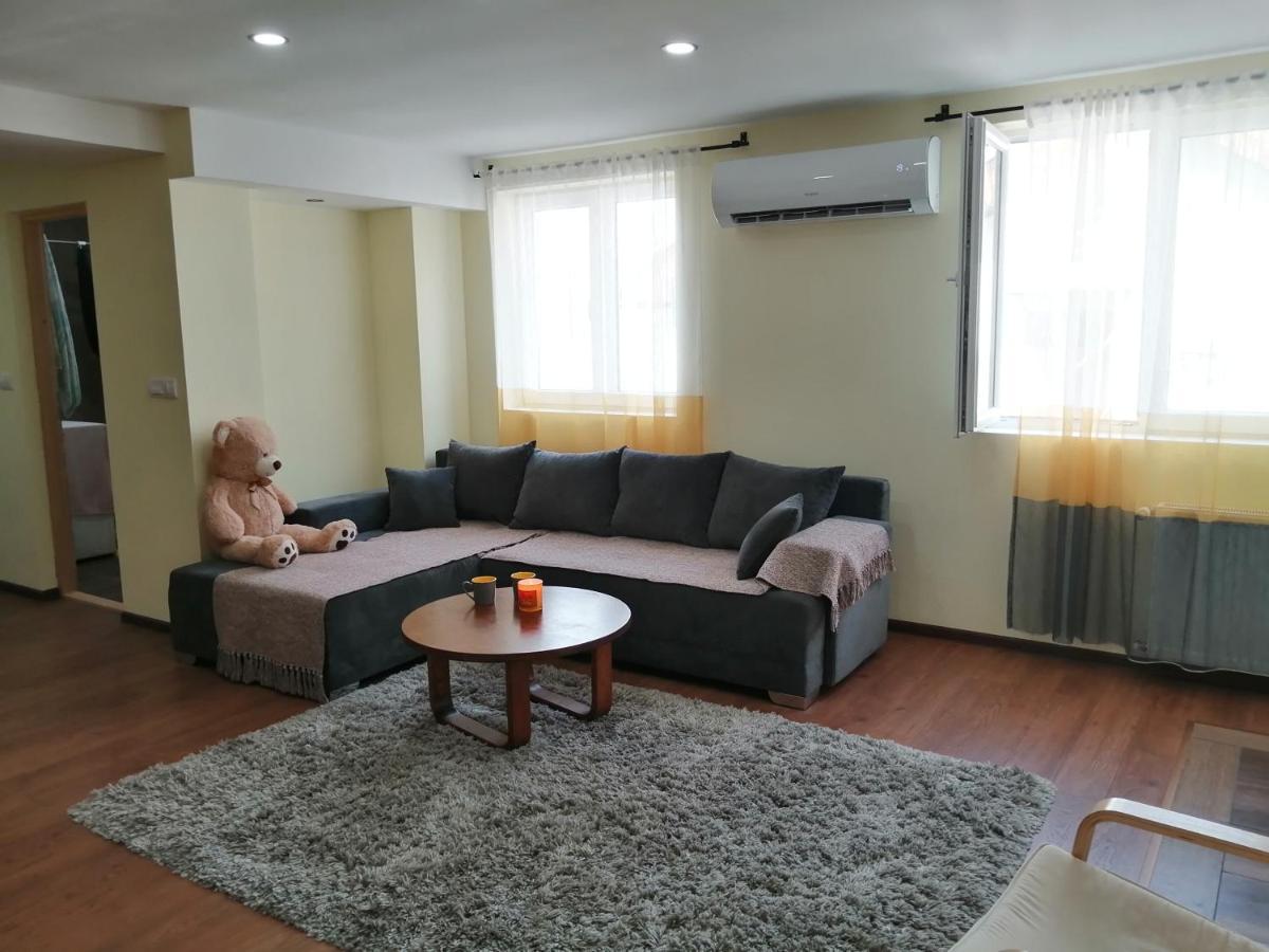 Nikas Apartman Donji Milanovac Zewnętrze zdjęcie